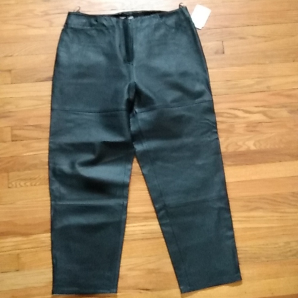 Clio Genuine Leather pants plus only missing snap on size 20